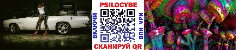 Купить  Хасавюрт  Галлюциногенные грибы Cubensis 